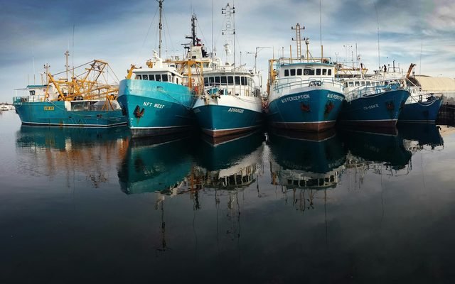 Fishing vessels moored in a harbour
